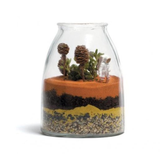 Bullet Bottle Mini Terrarium, $10