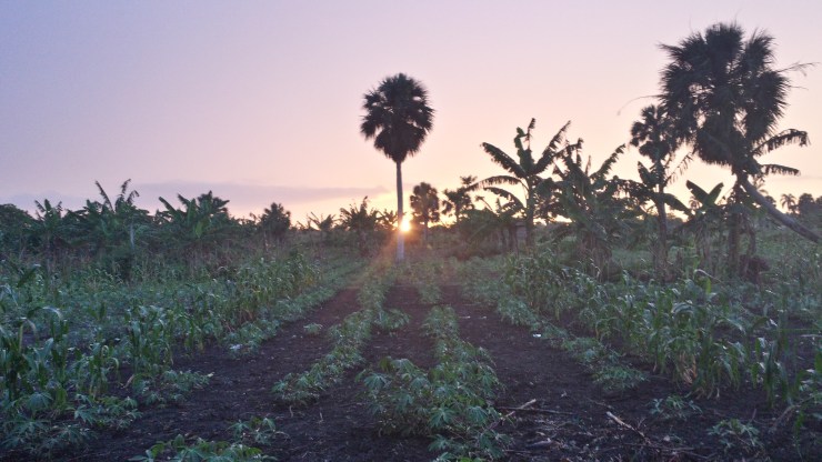 20140530_190828_Richtone(HDR)